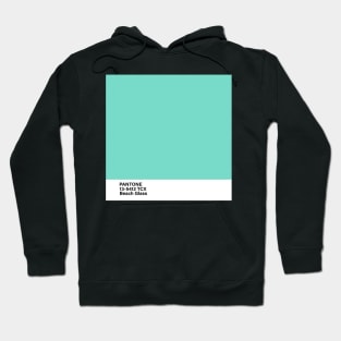 pantone 13-5412 TCX Beach Glass Hoodie